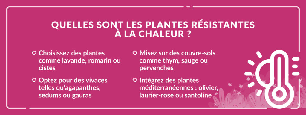 liste de plantes résistantes à la chaleur