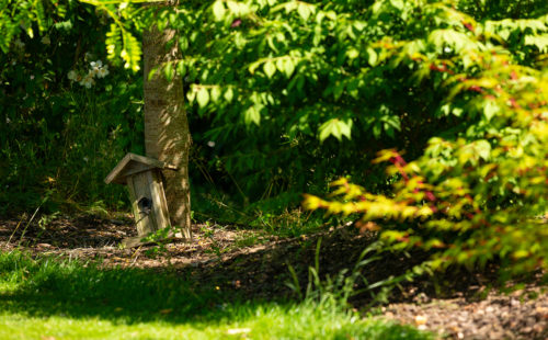 un jardin protégé de la chaleur