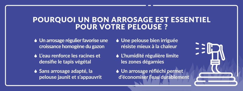 Les intérêts d’arroser sa pelouse