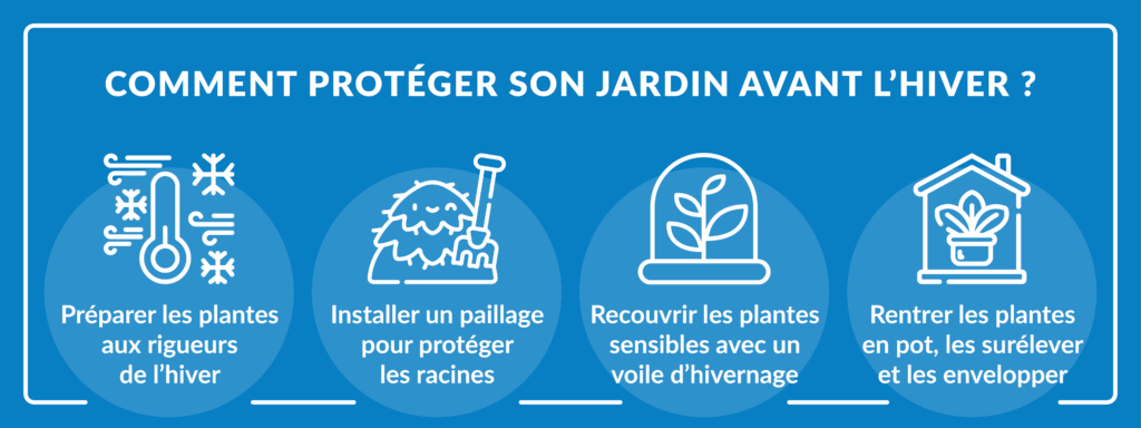 astuces pour protéger ses plantes avant l’hiver