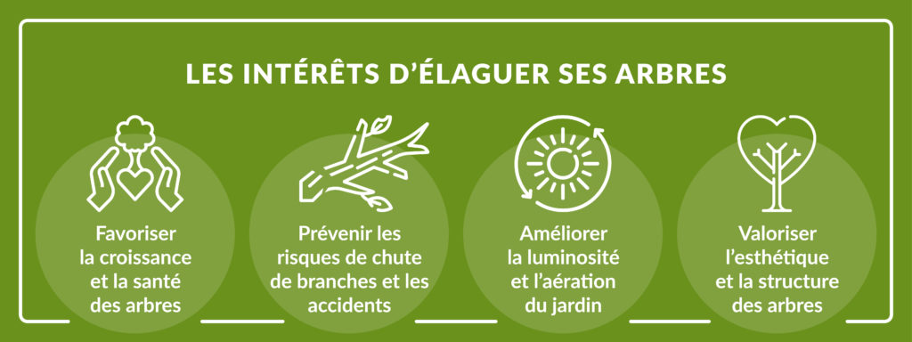 les intérêts d'élaguer ses arbres