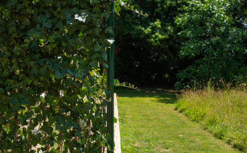 un jardin en hiver bien entretenu