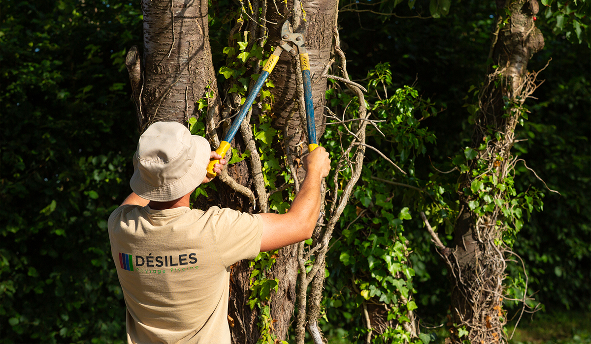 un élagueur grimpeur effectuant des travaux d'élagage