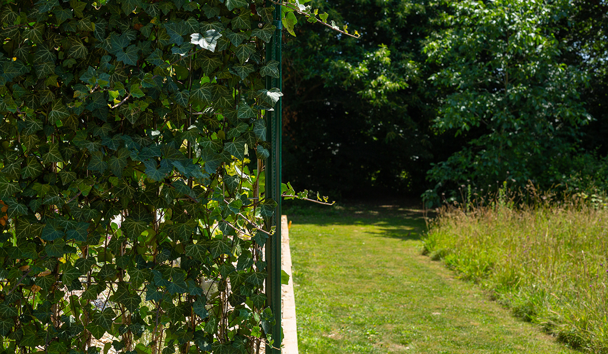 un jardin en hiver bien entretenu