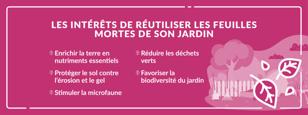infographie détaillant les intérêts de réutiliser les feuilles mortes de son jardin