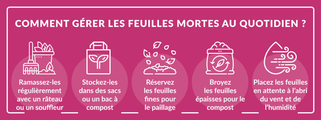 infographie expliquant comment gérer au quotidien les feuilles tombées en automne