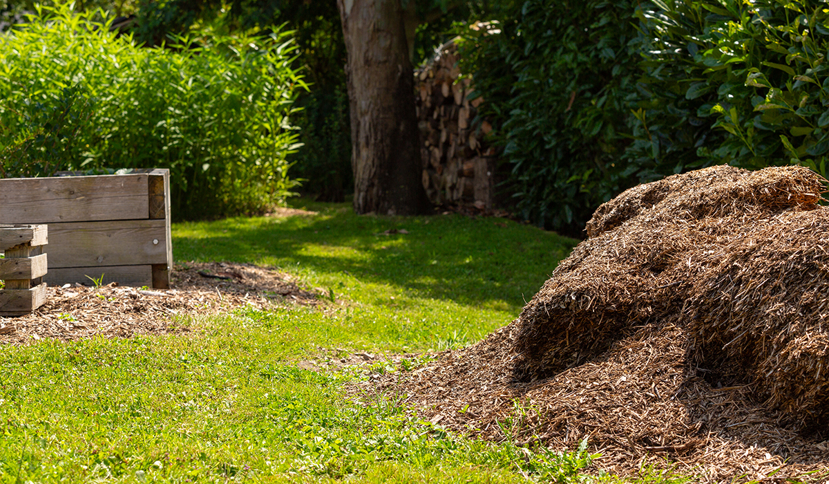 un tas de feuilles sèches prêt à servir pour le compost