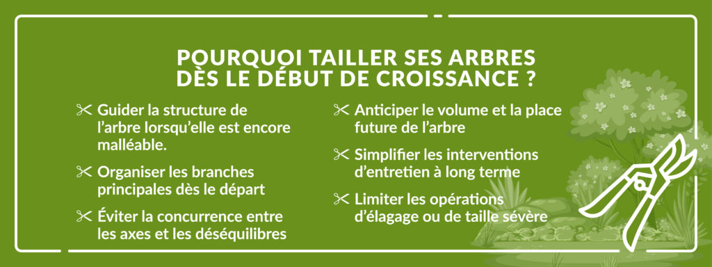 infographie précisant l’importance de tailler ses arbres en début de croissance