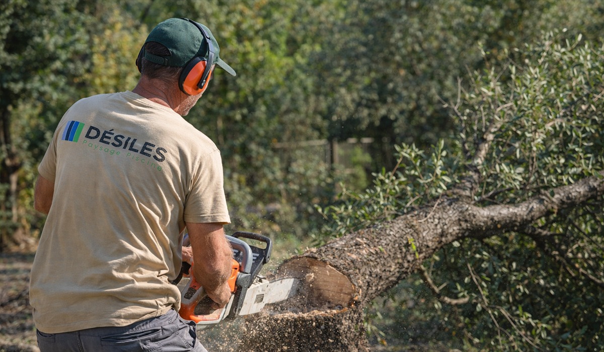 un élagueur en train d’abattre un arbre dans un jardin