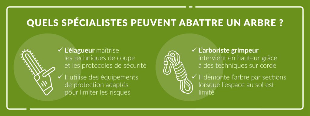 les compétences de l'élagueur et de l’arboriste grimpeur