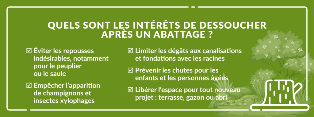 intérêts de dessoucher un arbre après abattage