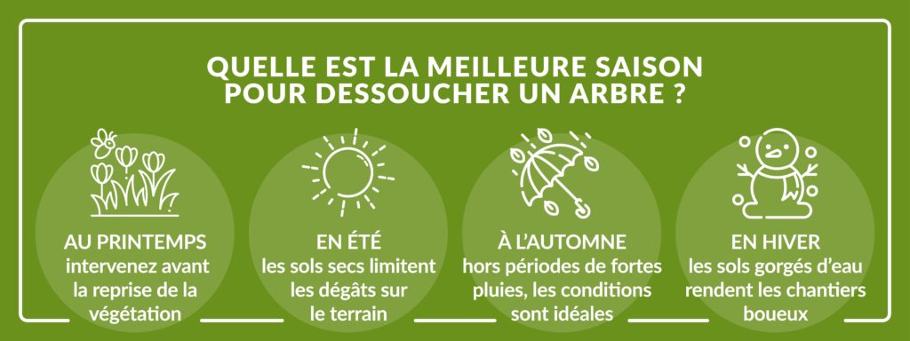 périodes idéales pour réaliser un dessouchage d’arbre
