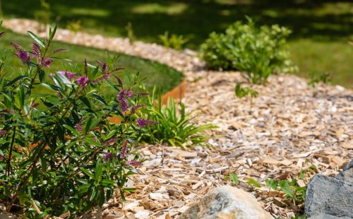 plantations dans un massif de jardin en Ille-et-Vilaine