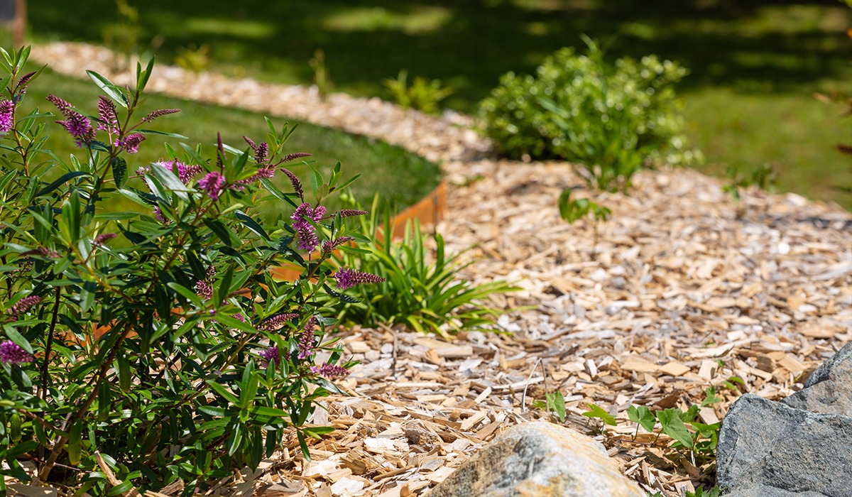 plantations dans un massif de jardin en Ille-et-Vilaine
