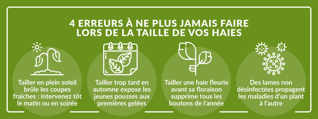 erreurs à éviter taille des haies pour limiter maladies, brulures, absence de floraison