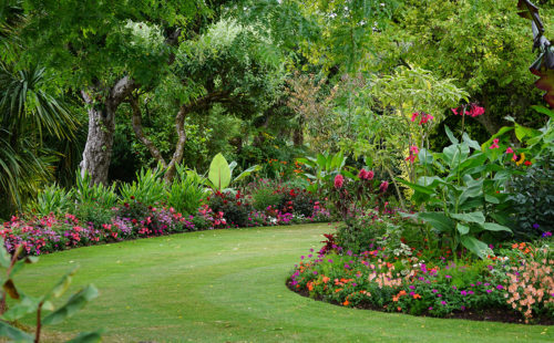 îlot de fraîcheur jardin végétalisé arbre ombre terrasse Rennes Désiles Paysage