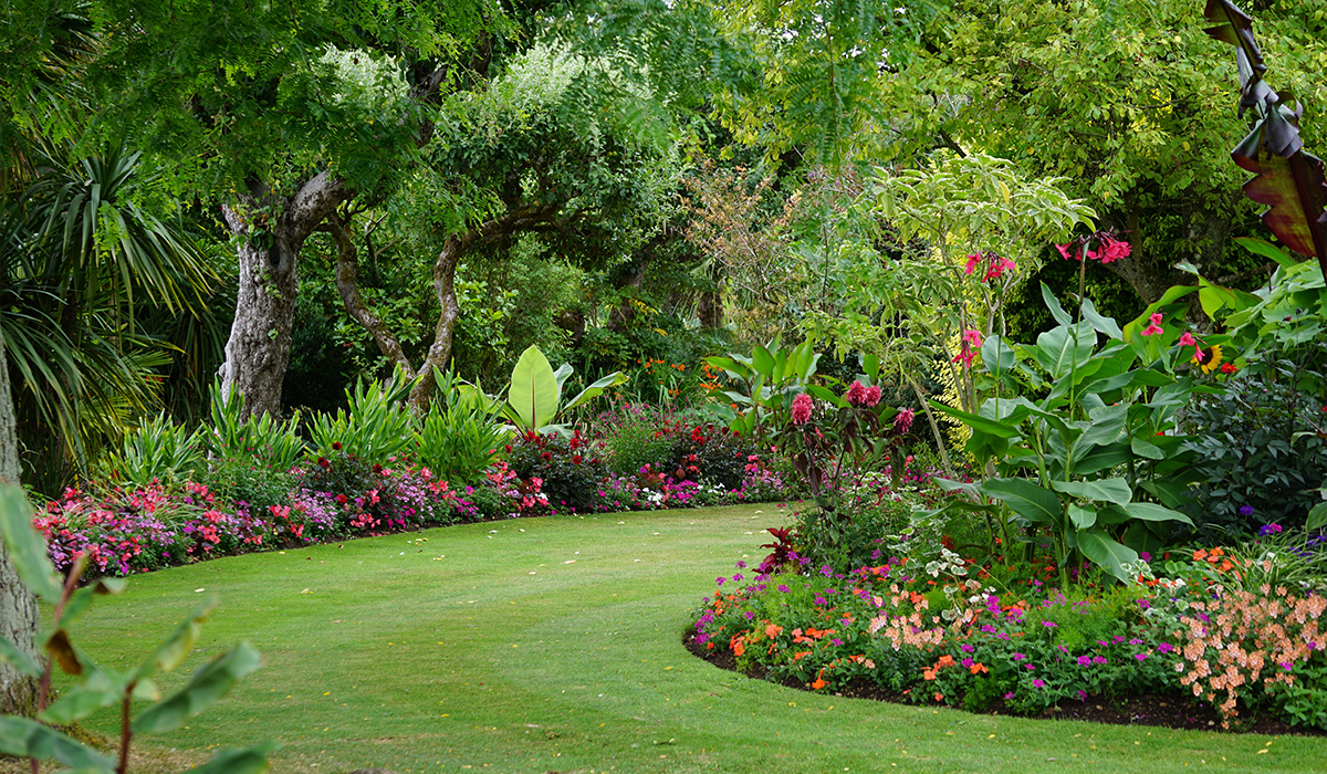 îlot de fraîcheur jardin végétalisé arbre ombre terrasse Rennes Désiles Paysage