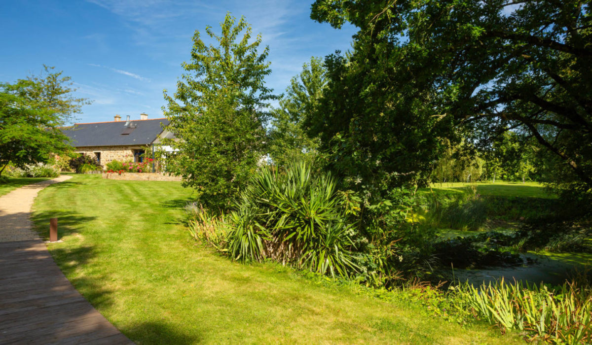 regarnissage gazon sursemis pelouse clairsemée jardin Rennes Ille-et-Vilaine Désiles Paysage