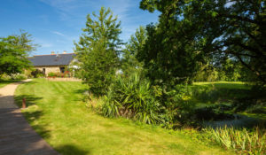 regarnissage gazon sursemis pelouse clairsemée jardin Rennes Ille-et-Vilaine Désiles Paysage