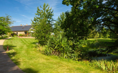 regarnissage gazon sursemis pelouse clairsemée jardin Rennes Ille-et-Vilaine Désiles Paysage