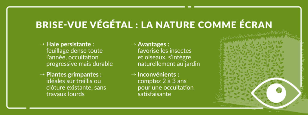 brise-vue végétal haie persistante plantes grimpantes jardin Bretagne