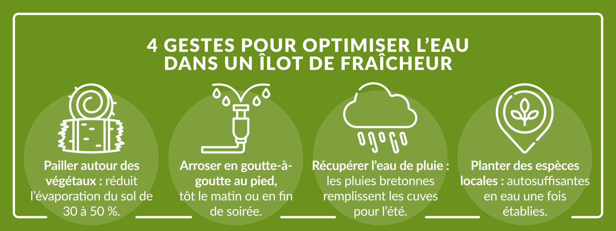 optimiser eau îlot de fraîcheur paillage arrosage goutte à goutte récupération eau pluie jardin Bretagne
