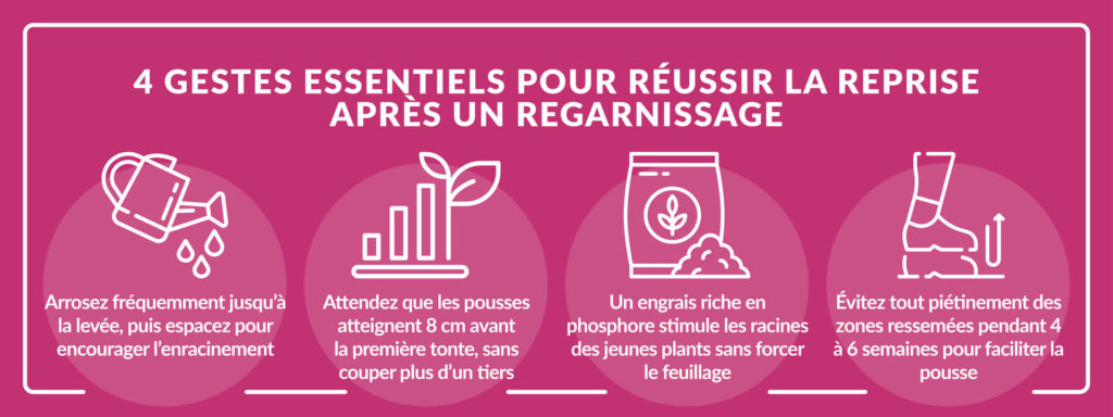 soins essentiels pour favoriser reprise gazon après regarnissage